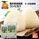 15位! 口コミ数「0件」評価「0」【3ヶ月連続定期便】令和5年産 福井県産奥越コシヒカリ5kg ×2袋（10kg × 3ヶ月） | 福井県産 国産 米 お米 おこめ おコメ ･･･ 