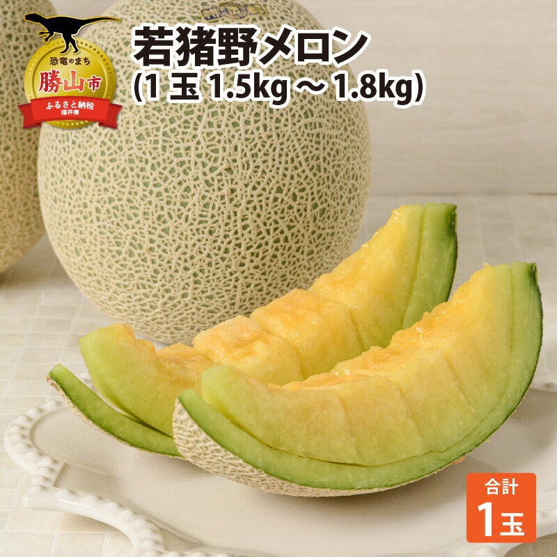 【ふるさと納税】【先行予約】勝山 若猪野メロン (1玉 箱入り) | メロン マスクメロン 箱入り 1玉 1.5kg ～ 1.8kg 1.5キロ ～ 1.8キロ フルーツ アールスメロン お中元 果物 ※2024年7月中旬～8月中旬頃発送