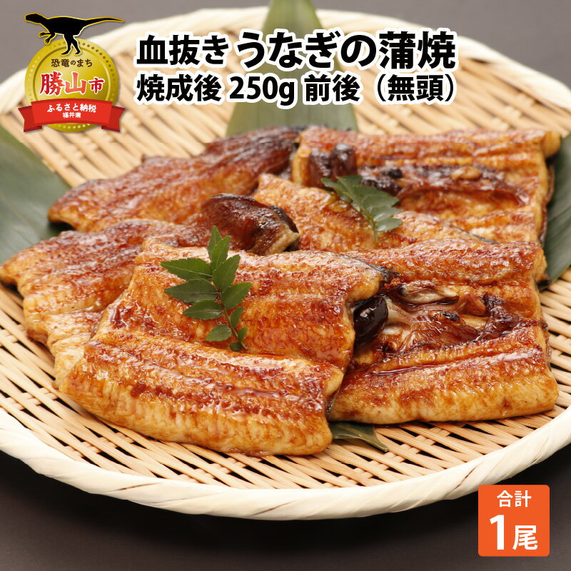 血抜きうなぎの蒲焼(無頭) 焼成後250g前後×1尾 | 国産 冷蔵 250グラム