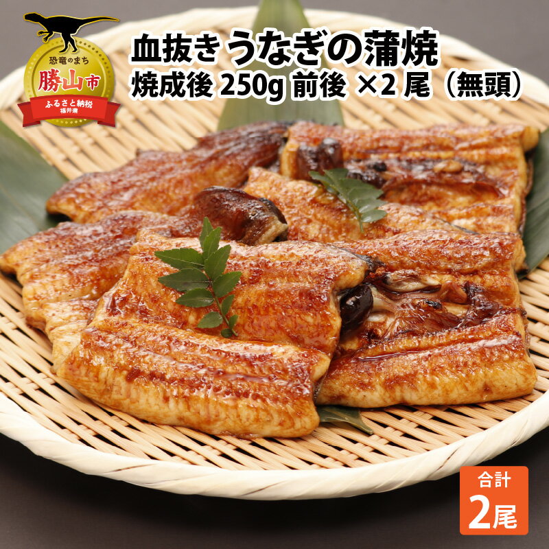 【ふるさと納税】血抜きうなぎの蒲焼（無頭）焼成後250g前後×2尾 | 国産 冷蔵 250グラム×2