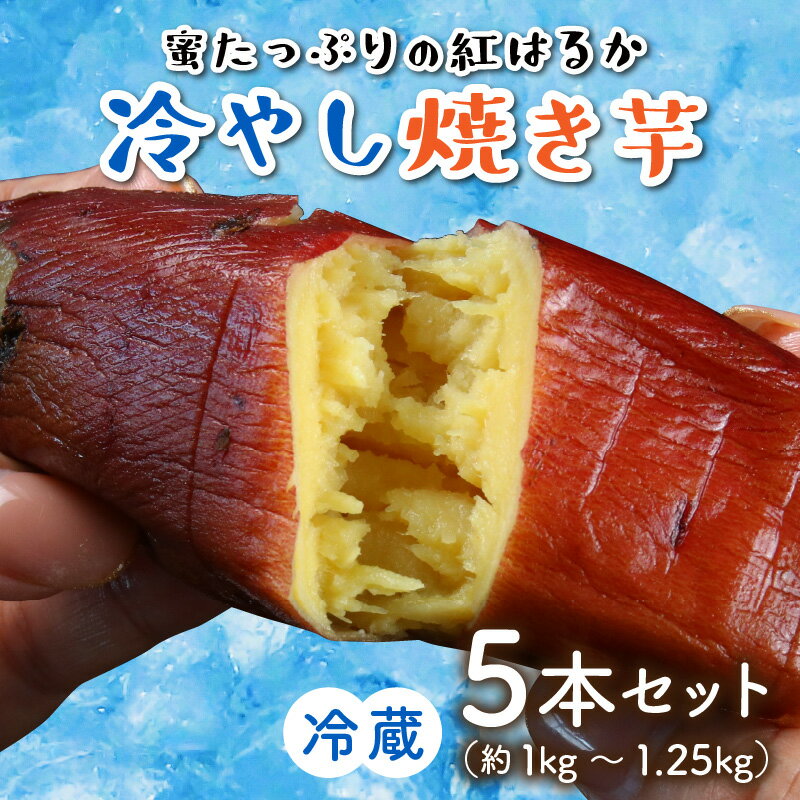 【ふるさと納税】蜜たっぷりの紅はるかを使った　冷やし焼き芋 5本セット（約1kg～1.25kg）| さつまいも サツマイモ スイーツ スウィーツ デザート おやつ 冷蔵