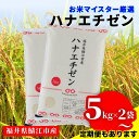 令和5年産 ハナエチゼン  / 定期便 お取り寄せ お米 精米 白米 小分け 便利 弁当 ごはん ご飯 コメ おにぎり ブランド 米 初回 送料無料 常温 配送 新生活 応援 5kg 10kg 20kg