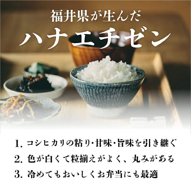 【ふるさと納税】【選べる配送回数！】令和5年産 ハナエチゼン [B-02028] / 定期便 お取り寄せ お米 精米 白米 小分け 便利 弁当 ごはん ご飯 コメ おにぎり ブランド 米 初回 送料無料 常温 配送 新生活 応援 5kg 10kg 20kg