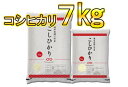 【ふるさと納税】令和元年産こしひかり 7kg(5kg+2kg...