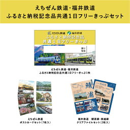 【ふるさと納税】「福井鉄道・えちぜん鉄道　共通1日フリーきっぷ」セット [B-06607]