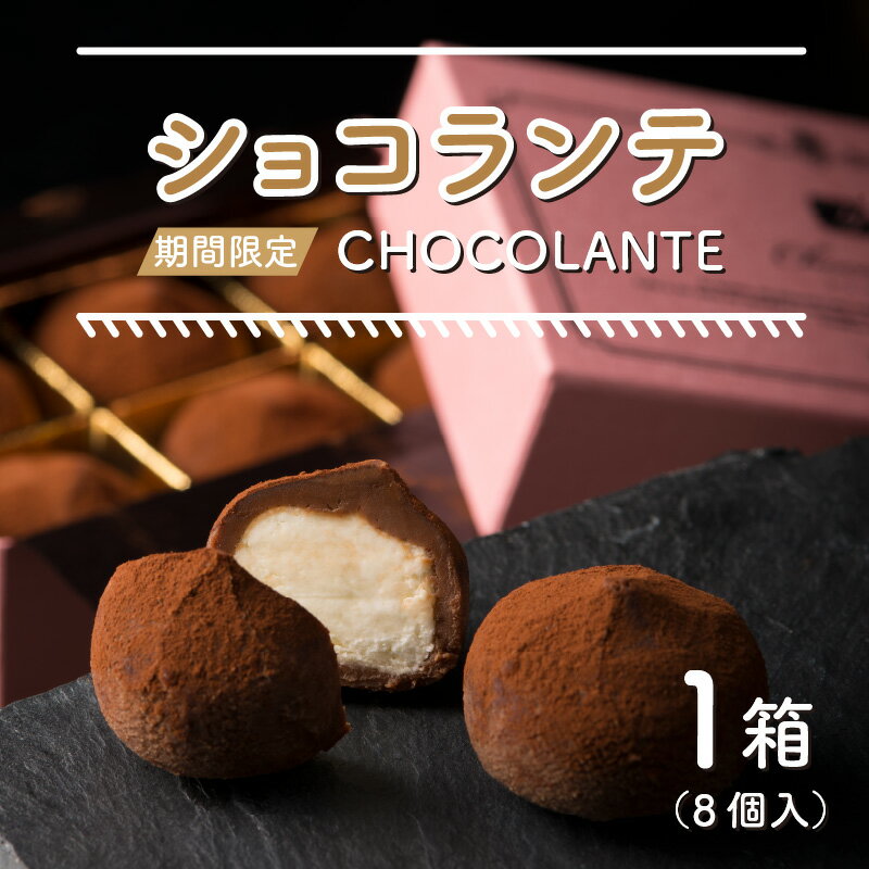 【ふるさと納税】 ショコランテ 8個入り チョコレート 生チョコ 生クリーム ホワイトデー 熨斗 スイーツ デザート お菓子 洋菓子 冷凍 [A-08611]