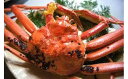 【ふるさと納税】福井★冬の味覚王『産地直送!越前がに 1杯』...