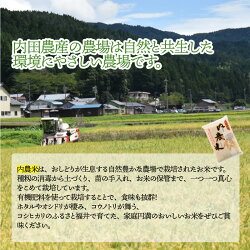 【ふるさと納税】【令和5年産】福井県産 内農米 コシヒカリ 5kg [B-00511]　/ 減農薬米 白米 鯖江市 画像2