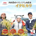 福井県産 内農米 イクヒカリ 10kg 　/ 減農薬米 白米 鯖江市