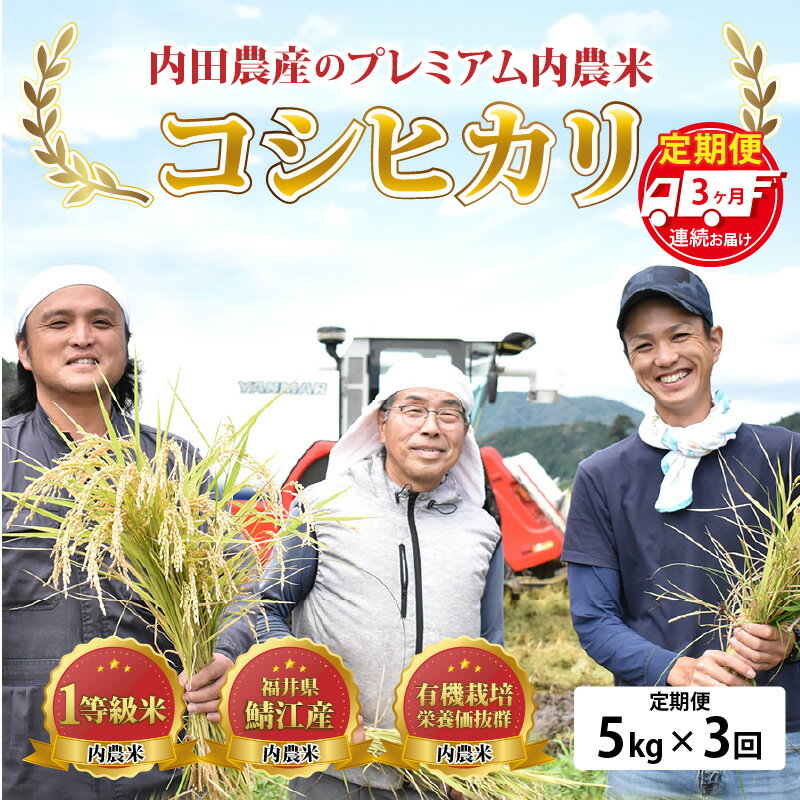 【ふるさと納税】【3ヶ月連続お届け】令和5年産 内農米コシヒカリ定期便 5kg × 3回 計15kg [C-00501] / 定期便 3ヶ月 減農薬 白米 鯖江市