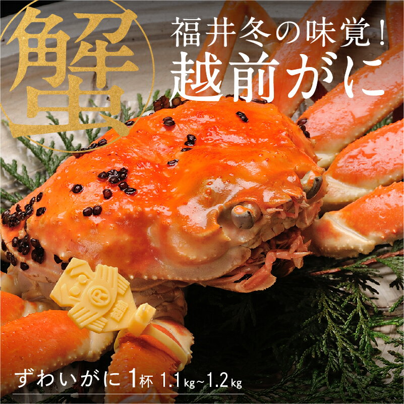 【ふるさと納税】【産地直送】福井冬の味覚！越前がに 1杯 1.1～1.2kg　[I-00909]/ ズワイガニ ズワイ蟹 ずわい蟹 ずわい 剥き身 脚 爪 脚 かにしゃぶ カニ鍋 蟹 お歳暮 カニ かに ふるさと納税かにのサムネイル