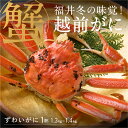 【ふるさと納税】【産地直送】福井冬の味覚！越前がに 1杯 1.3～1.4kg 【2023年度】 [N-00904] / ズワイガニ ズワイ蟹 ずわい蟹 ずわい 剥き身 脚 爪 脚 かにしゃぶ カニ鍋 蟹 お歳暮 カニ かに ふるさと納税かに