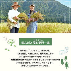 【ふるさと納税】【令和3年産】【3ヶ月連続お届け】 令和3年産 ピロール農法 コシヒカリ 5kg（5kg × 1袋）× 3回 計15kg 真空パック 定期便 白米 有機栽培 特別栽培米 福井 ピロール米 お米 [E-08201]･･･ 画像2