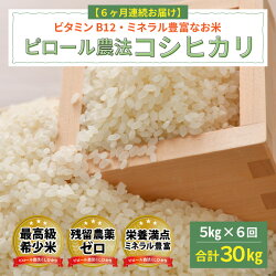 【ふるさと納税】【令和3年産】【6ヶ月連続お届け】 令和3年産 ピロール農法 コシヒカリ 5kg（5kg × 1袋）× 6回 計30kg 真空パック 定期便 白米 有機栽培 特別栽培米 福井 ピロール米 お米 [H-08201]･･･ 画像1