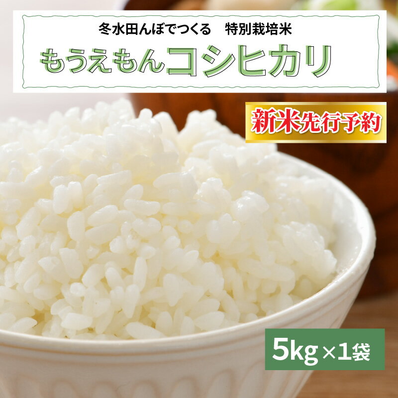 【ふるさと納税】 【新米・先行予約】【令和4年産】冬水田んぼでつくる 特別栽培米 もうえもん コシヒカリ（5kg × 1袋）真空パック【10月以降順次発送】[B-08208]　/ 白米 有機 低農薬米 米 お米