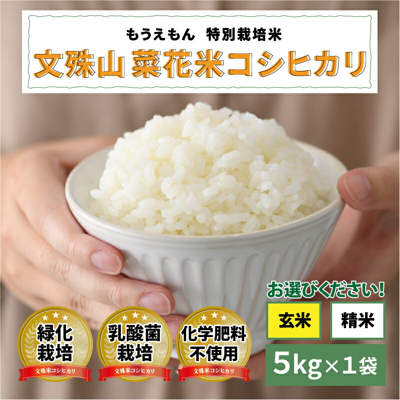 12位! 口コミ数「0件」評価「0」文殊山 菜花米コシヒカリ　5kg（5kg × 1袋）真空パック [B-08220] / 真空パック 白米 玄米 特別栽培米 乳酸菌栽培 コシ･･･ 