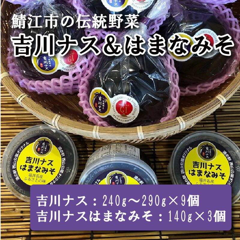 【ふるさと納税】先行予約！期間限定 吉川ナス（中サイズ）9個 & ごはんのお供 吉川ナスはまなみそ 3個セット　2024年6月10日以降順次発送/丸ナス 茄子 なす ナス おかず味噌 お酒のおつまみ 伝統野菜 味噌　［B-05903］