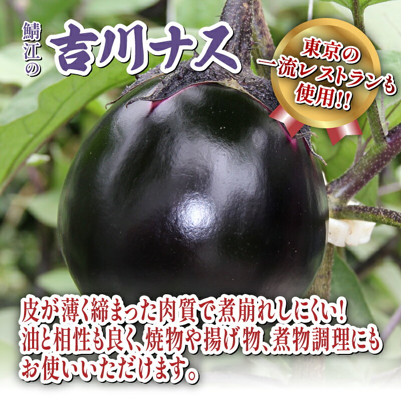 【ふるさと納税】期間限定 吉川ナス 1箱（9個入）/ 丸ナス なす 茄子 伝統野菜 野菜［A-05906］