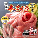 刺身用！本マグロ 大トロ（柵どり）1kg × 3回 / 国産 グルメ マグロ