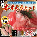 【ふるさと納税】【定期便】【4ヶ月連続お届け】 刺身用！本マグロ堪能セット（柵どり） 計900g × 4回【最新の冷凍技術】[M-11004] / 国産 グルメ マグロ