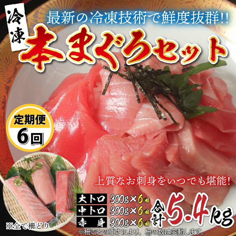 【ふるさと納税】【定期便】【6ヶ月連続お届け】 刺身用！本マグロ堪能セット（柵どり） 計900g × 6回...