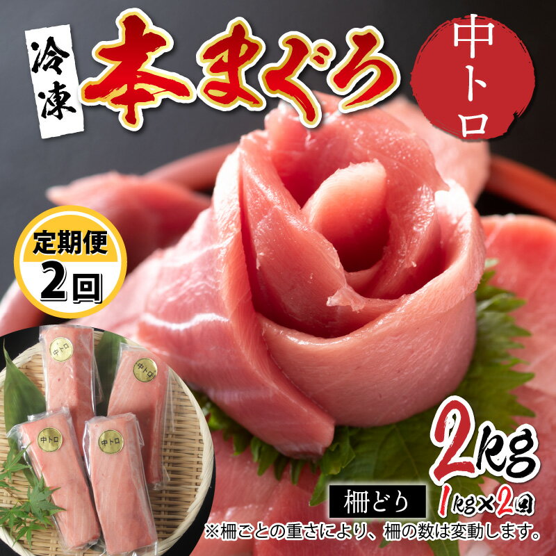 [定期便][2ヶ月連続お届け] 刺身用!本マグロ 中トロ(柵どり)1kg × 2回[最新の冷凍技術]/ 本マグロ 国産 高級 ギフト 御祝 プレゼント お中元 グルメ 刺身 鮪 送料無料 [H-11005]