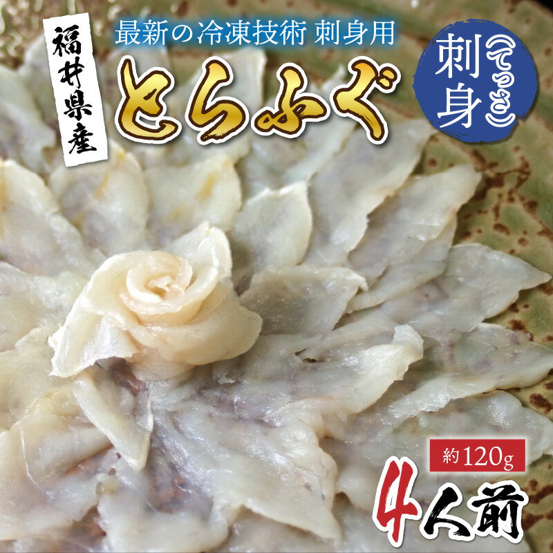 【ふるさと納税】【最新の冷凍技術】福井県産とらふぐのお刺身（てっさ）4人前 約120g / 国産 グルメ ふぐ てっさ 海の幸 海鮮 [C-11004]