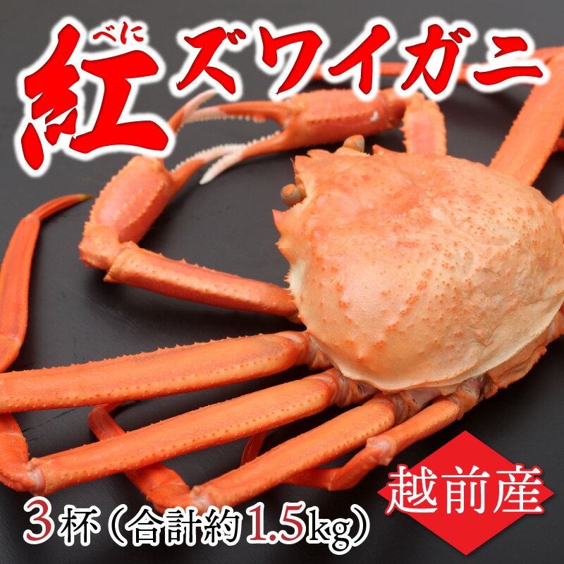 【ふるさと納税】【越前産】紅ずわいがに 3杯合計1.5kg前後 / 冷蔵 かに カニ ギフト グルメ [C-11005]