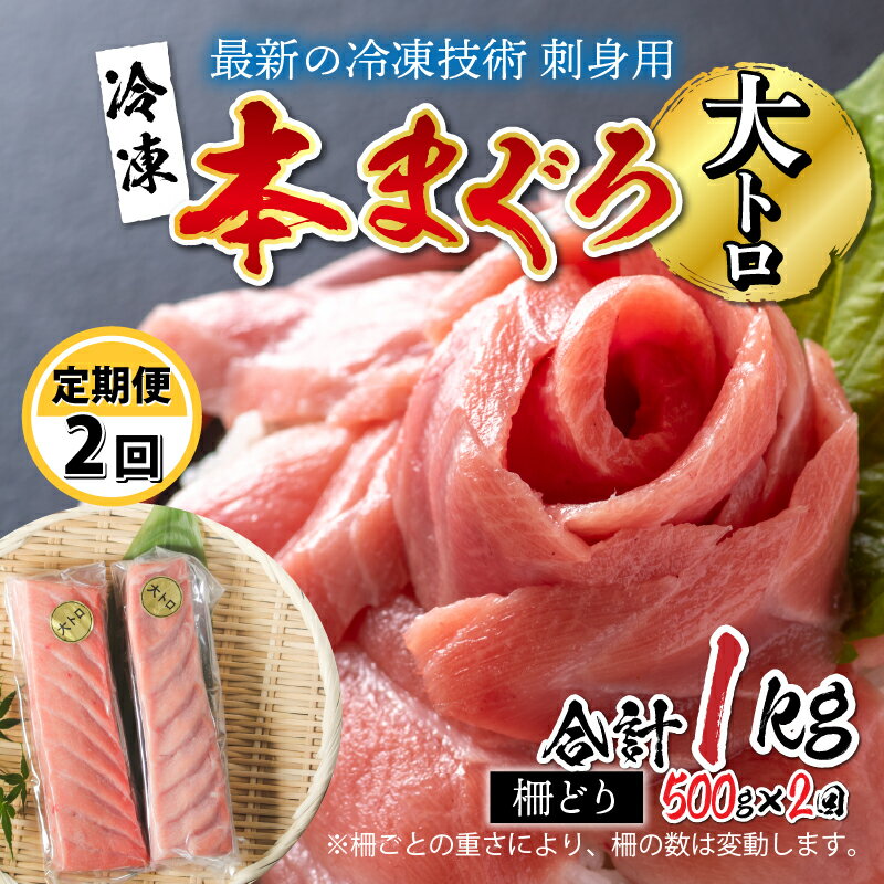 【定期便】【2ヶ月連続お届け】 刺身用！本マグロ 大トロ（柵どり） 500g × 2回【最新の冷凍技術】/ 国産 グルメ マグロ [F-11011]