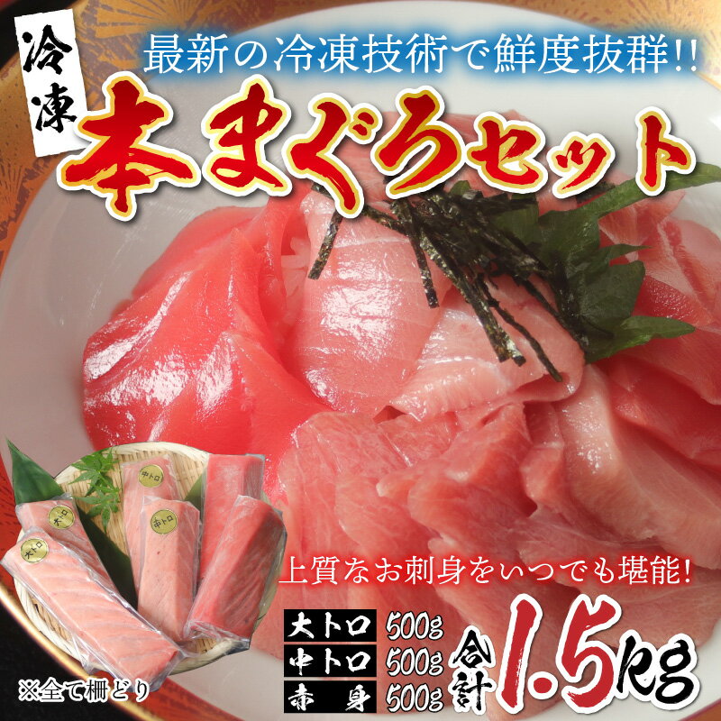 【ふるさと納税】【刺身用】 本マグロセット（大トロ 500g