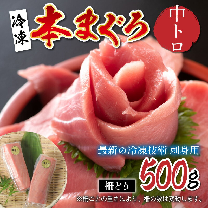 【ふるさと納税】【刺身用】本マグロ 中トロ 500g（柵どり）【最新の冷凍技術】/ 本マグロ 国産 高級 ギフト 御祝 プレゼント お中元 グルメ 刺身 鮪 送料無料 [C-11006]