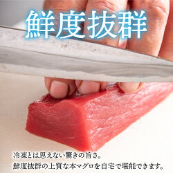 【ふるさと納税】【定期便】【3ヶ月連続お届け】最新の冷凍技術 刺身用！本まぐろ 赤身（柵どり）1kg × 3回　/ 国産 グルメ マグロ [H-11001]･･･ 画像2