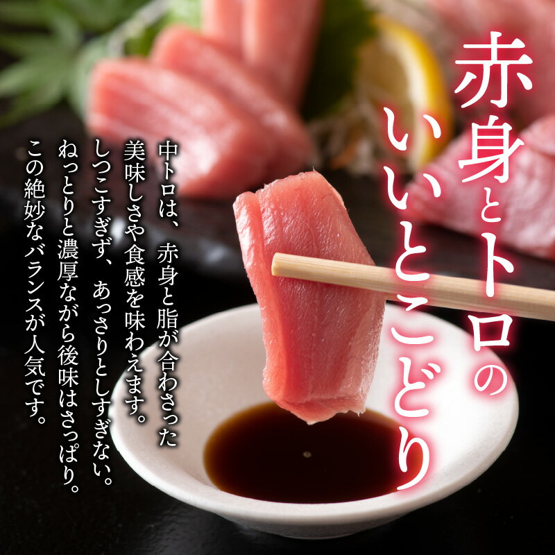 【ふるさと納税】【定期便】【2ヶ月連続お届け】 刺身用！本マグロ 中トロ（柵どり）1kg × 2回【最新の冷凍技術】/ 本マグロ 国産 高級 ギフト 御祝 プレゼント お中元 グルメ 刺身 鮪 送料無料 [H-11005]