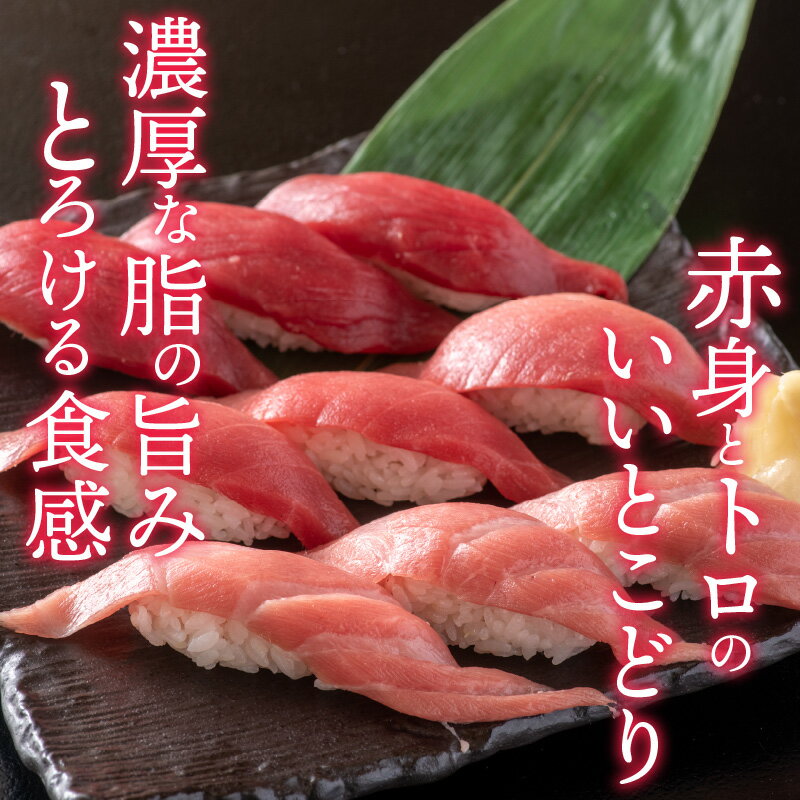 【ふるさと納税】【定期便】【6ヶ月連続お届け】 刺身用！本マグロ堪能セット（柵どり） 計900g × 6回【最新の冷凍技術】[O-11002] / 国産 グルメ マグロ