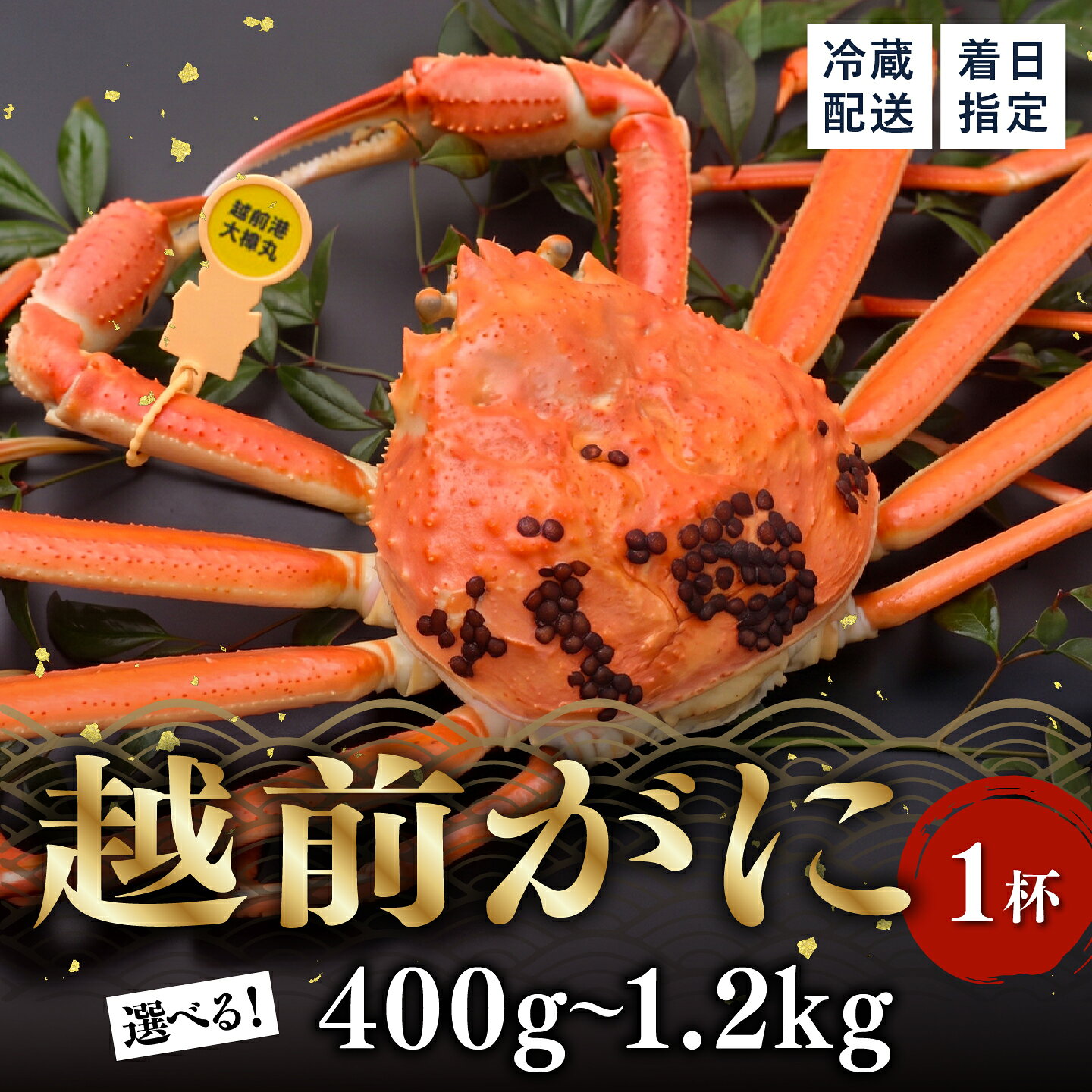 [先行予約][選べるサイズ!][正規品]北陸の冬の味覚の王者!越前がに(オス)「ずわいがに」400g / 600g / 800g / 1kg / 1.2kg以上 × 1杯 [M-11005] / 越前がに かに カニ 蟹 ずわいがに ズワイガニ 殻付き ギフト グルメ 冷蔵 福井県鯖江市