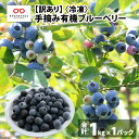 【ふるさと納税】【訳あり】令和5年産〈冷凍〉手摘み有機ブルーベリー1kg × 1パック [A-11303]