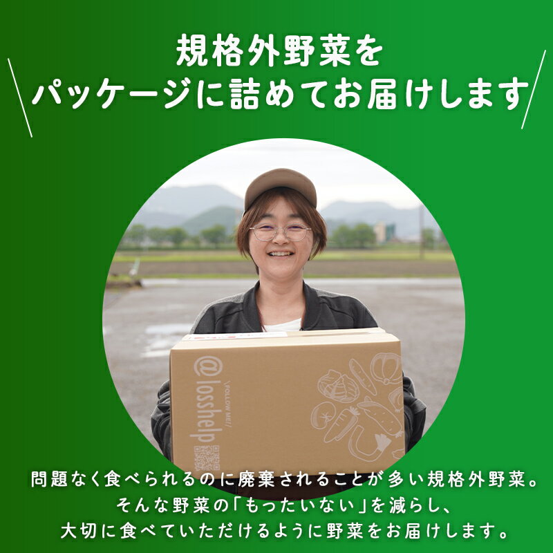 【ふるさと納税】【2025年12月配送】多数のメディアで紹介されました！【訳あり】旬のもったいないお野菜詰め合わせセット[B-16401] / 訳あり 訳アリ ロスヘル 野菜 規格外野菜 冬野菜 やさい サラダ フードロス 果物 くだもの フルーツ 福井県鯖江市