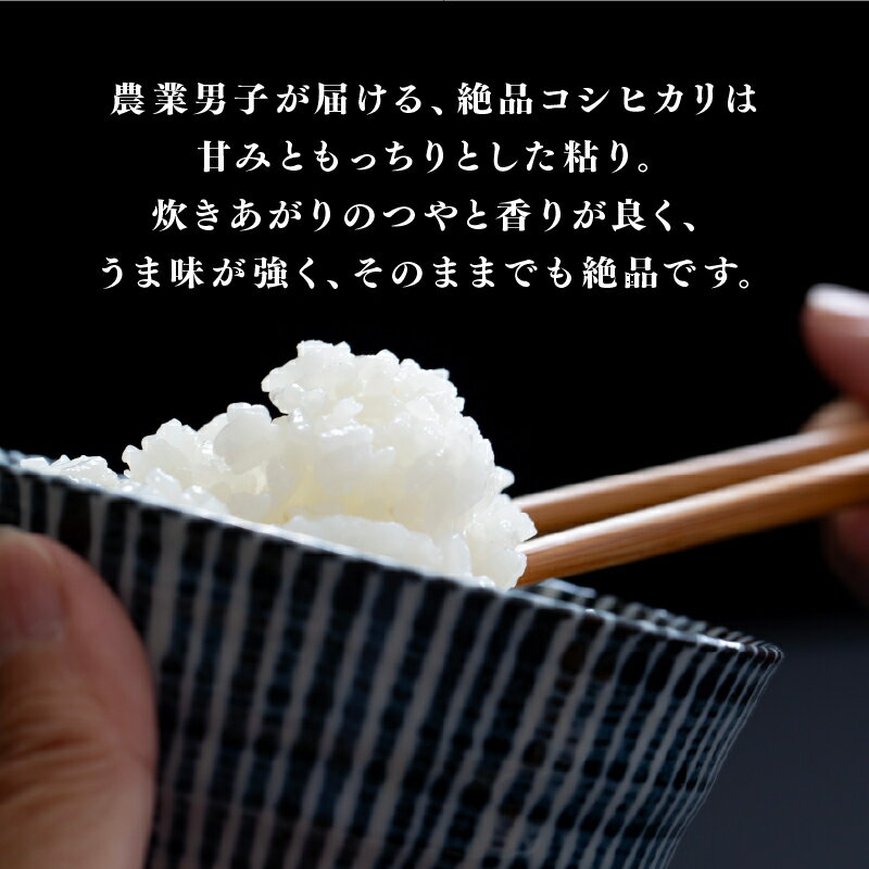 【ふるさと納税】【選べる配送回数！】【数量限定！500袋限定販売！】【2025年11月以降 順次発送予定】令和7年産 コシヒカリ　5kg×2袋（計10kg） 定期便あり！[C-10112] / お米 新米 精米 ご飯 こしひかり ごはん 米農家 農業男子 鮮度抜群 福井県鯖江市