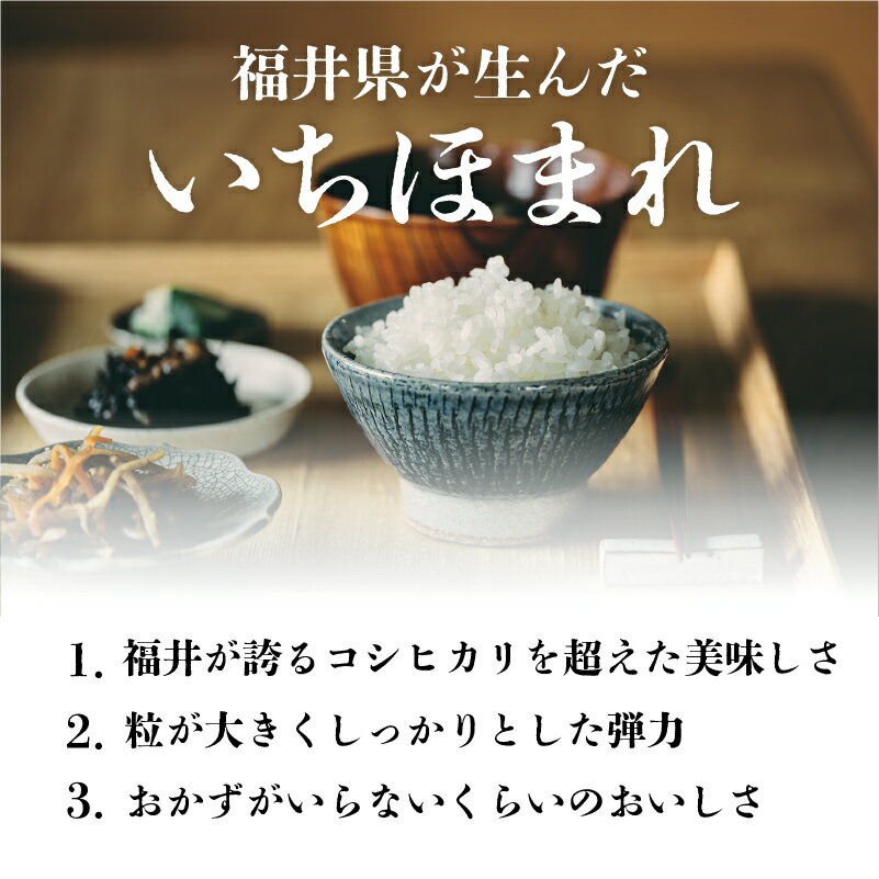 【ふるさと納税】 令和7年産 いちほまれ [C-02015] / お米 精米 白米 小分け 便利 ごはん コメ ブランド米 人気 品種 特A 5kg 10kg こしひかり コシヒカリ