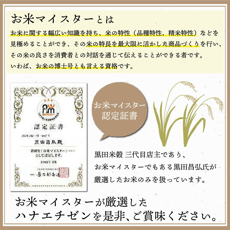 【ふるさと納税】【選べる配送回数！】令和7年産 ハナエチゼン [C-02017] / 定期便...