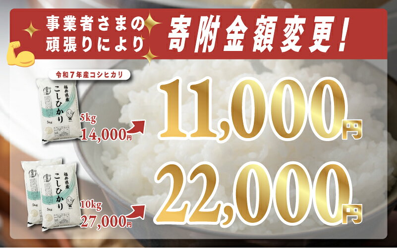 【ふるさと納税】【寄付額見直し】【選べる配送回数！】【令和7年産新米！】令和7年産 コシヒカリ [C-02020] / 定期便 お取り寄せ お米 精米 白米 小分け 便利 弁当 ごはん ご飯 コメ おにぎり ブランド 米 初回 送料無料 常温 配送 新生活 応援 5kg 10kg