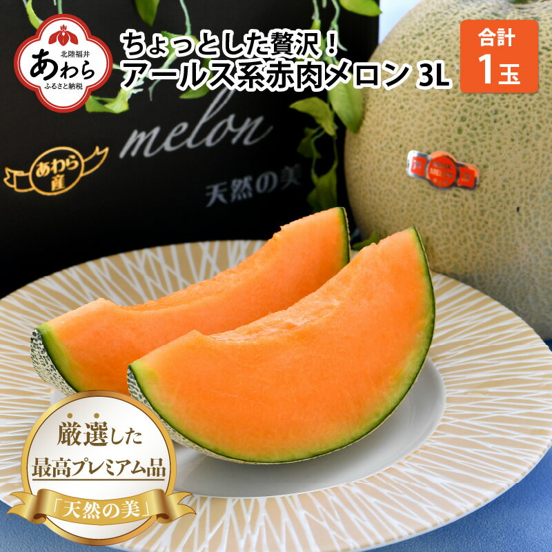 【先行予約】アールス系 赤肉メロン 3L×1玉（約1.8kg）／ 期間限定 果物 フルーツ 高級メロン マスクメロン アールスメロン 産地直送 ※2024年6月下旬より順次発送