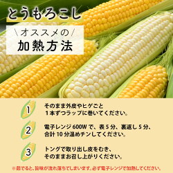 【ふるさと納税】【先行予約】秋とうもろこし 黄色 白色 計10本 おおもの 朝採り ／ 期間限定 数量限定 ハウス栽培 産地直送 甘い ミックス スイートコーン 白い とうもろこし ホワイトコーン 野菜 あわら ※2023年10月10日より順次発送･･･ 画像2