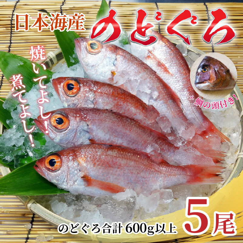 【ふるさと納税】【真鯛の頭付き】煮てよし焼いてよし！ 日本海産のどぐろ 5パック ／ 高級魚 ビール 煮魚 焼き魚 おつまみ 魚介類 海の幸 国産 個包装 お取り寄せ