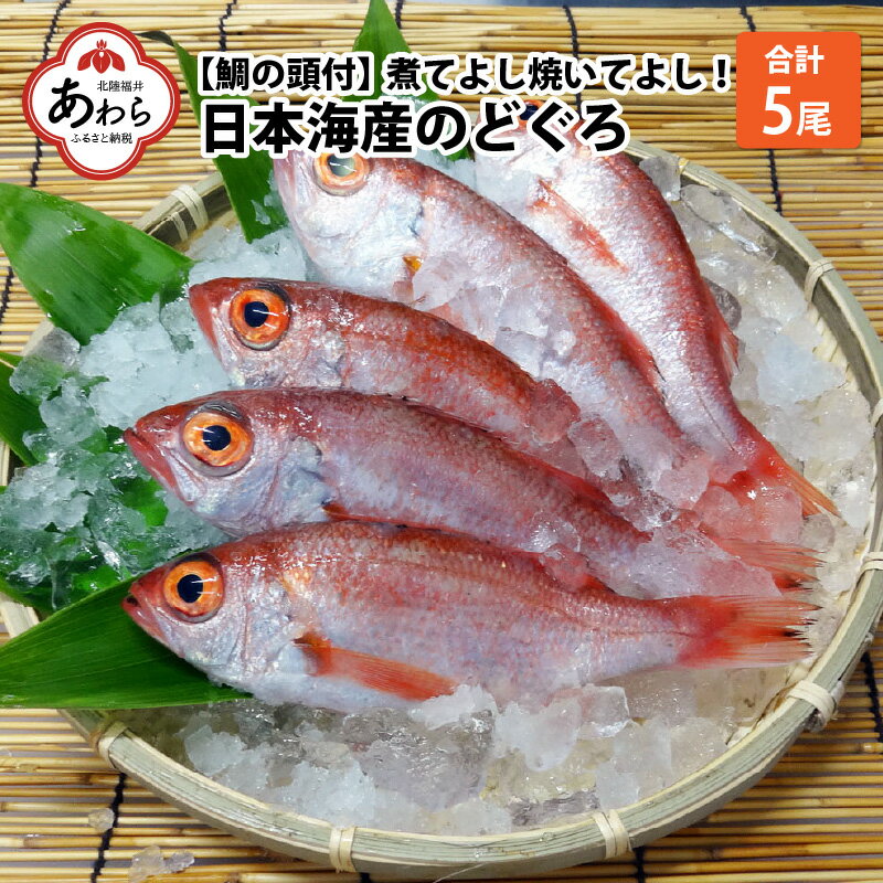 【ふるさと納税】【真鯛の頭付き】煮てよし焼いてよし！ 日本海