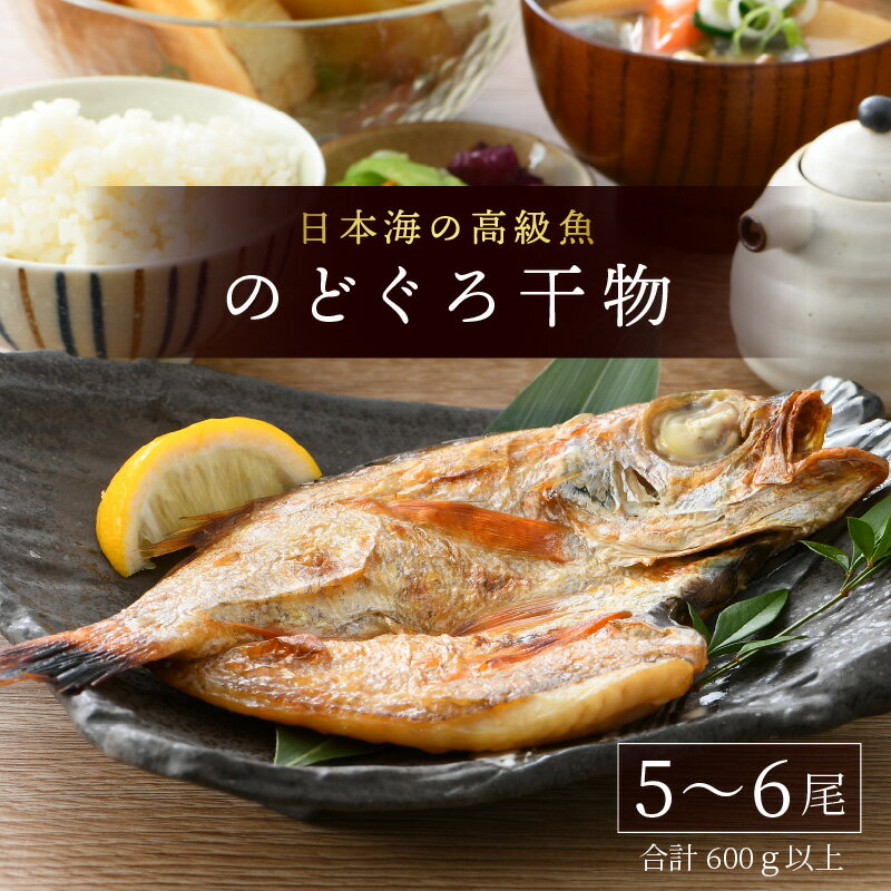 【ふるさと納税】日本海の高級魚 のどぐろ干物 5～6尾 600g以上／ ビール 焼き魚 おつまみ 魚介類 海の幸 国産 個包装 お取り寄せ