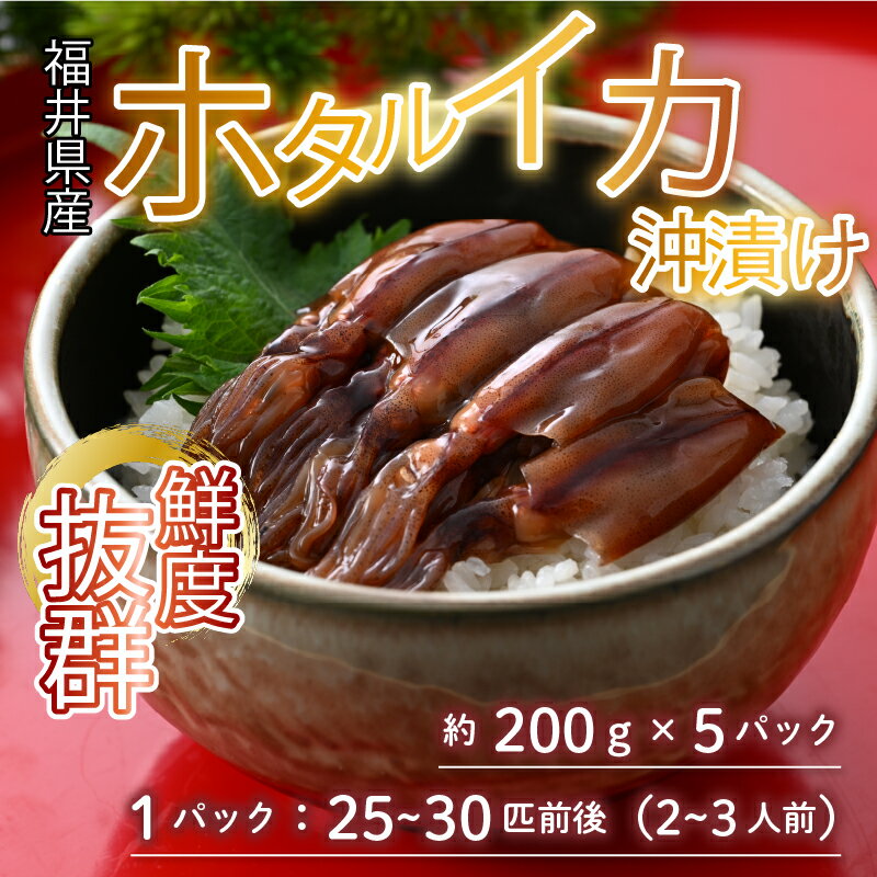 【ふるさと納税】ホタルイカ 沖漬け 200g×5パック 1kg 国産 福井県産 ＜お酒やご飯との相性抜群！＞ ／ ビール お父さん おつまみ 魚介類 お取り寄せ 新鮮 瞬間冷凍