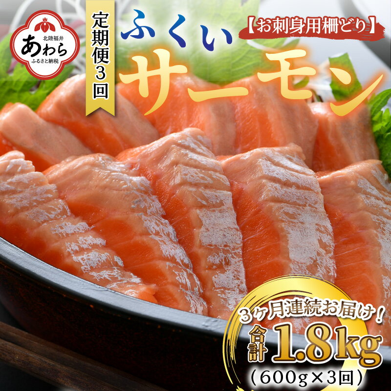 【ふるさと納税】【先行予約】《定期便3回》ふくいサーモン 柵どり 150g×4パック 計600g ＜鮮度抜群！真空冷凍＞ ／ 生食OK 刺身 鮭 国産 ※2024年8月中旬以降順次発送