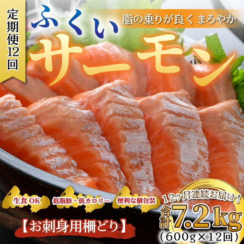 【ふるさと納税】【先行予約】《定期便12回》ふくいサーモン 柵どり 150g×4パック 計600g ＜鮮度抜群！真空冷凍＞ ／ 生食OK 刺身 鮭 国産 ※2024年8月中旬以降順次発送