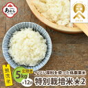 1位! 口コミ数「0件」評価「0」【令和5年産】《定期便12回》特別栽培米 コシヒカリ 5kg × 12回 （計60kg） 無洗米 低農薬 / 福井県 あわら市 ブランド米 ･･･ 